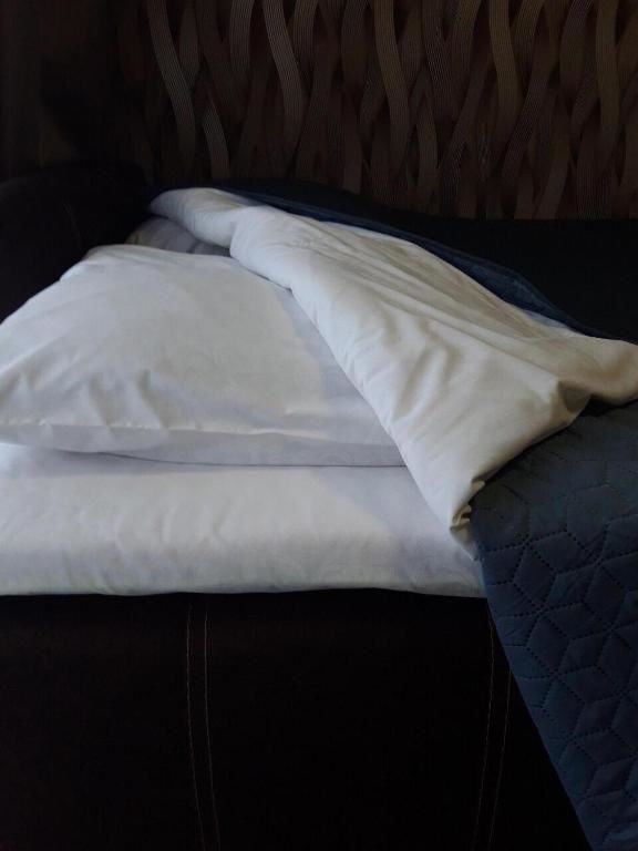 Апартаменты Lutsk, Double-Room apartments Луцк-19