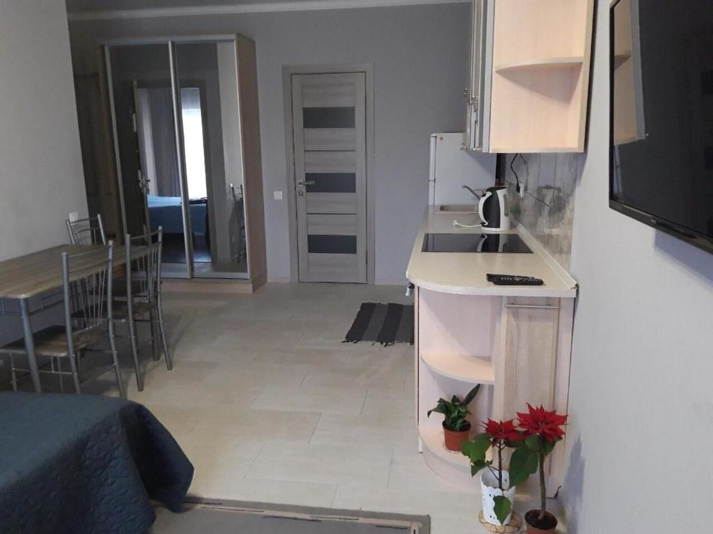 Апартаменты Lutsk, Double-Room apartments Луцк-20