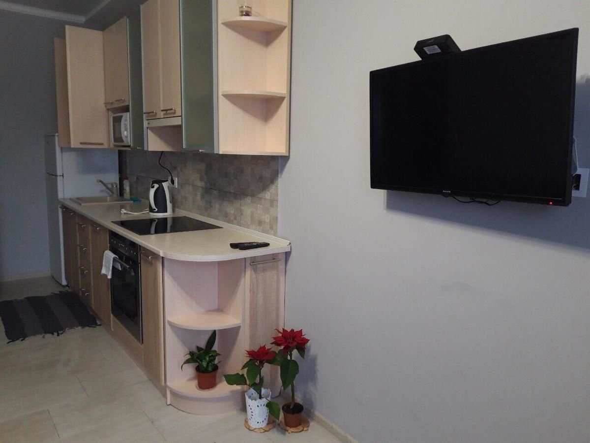 Апартаменты Lutsk, Double-Room apartments Луцк-9